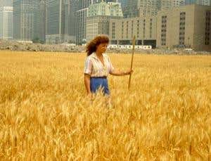 Review: <i>Radical Nature</i>