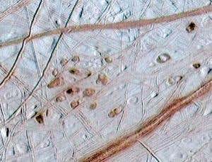 New Scientist. Science news and long reads from expert journalists, covering developments in science, technology, health and the environment on the website and the magazine.