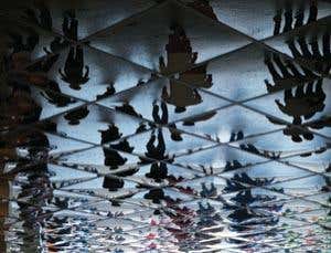 New Scientist. Science news and long reads from expert journalists, covering developments in science, technology, health and the environment on the website and the magazine.