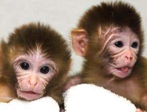 New Scientist. Science news and long reads from expert journalists, covering developments in science, technology, health and the environment on the website and the magazine.