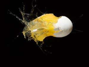 New Scientist. Science news and long reads from expert journalists, covering developments in science, technology, health and the environment on the website and the magazine.