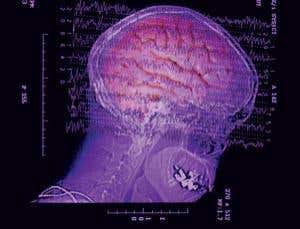 New Scientist. Science news and long reads from expert journalists, covering developments in science, technology, health and the environment on the website and the magazine.