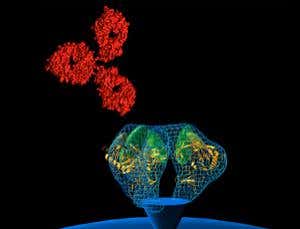 New Scientist. Science news and long reads from expert journalists, covering developments in science, technology, health and the environment on the website and the magazine.