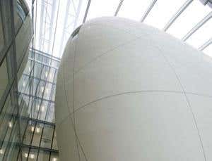 Darwin Centre puts working primates on display