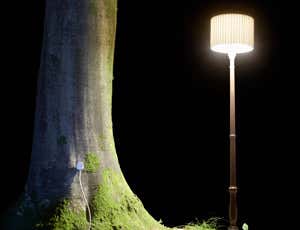 Trees could be the ultimate in green power