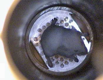 New Scientist. Science news and long reads from expert journalists, covering developments in science, technology, health and the environment on the website and the magazine.