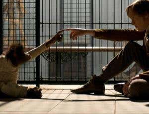 Creation: being made to feel Darwin's anguish