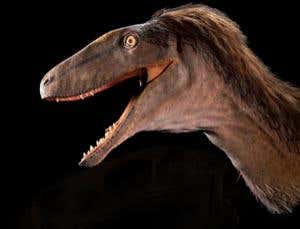 New Scientist. Science news and long reads from expert journalists, covering developments in science, technology, health and the environment on the website and the magazine.