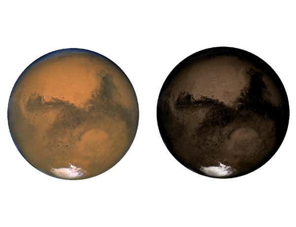 New Scientist. Science news and long reads from expert journalists, covering developments in science, technology, health and the environment on the website and the magazine.