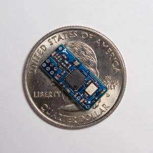 Bugs to reveal songbird social lives