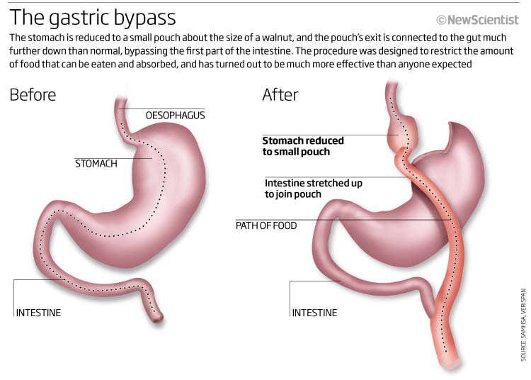 New Scientist. Science news and long reads from expert journalists, covering developments in science, technology, health and the environment on the website and the magazine.