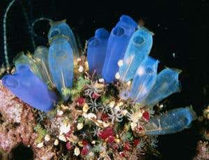 13 more things: Hybrid life