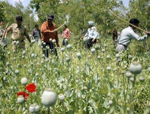 Better world: Legalise drugs