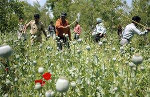 New Scientist. Science news and long reads from expert journalists, covering developments in science, technology, health and the environment on the website and the magazine.