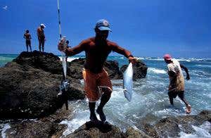 Better world: Redefine the bottom line