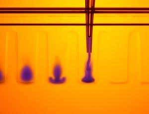 Better world: Screen your genes