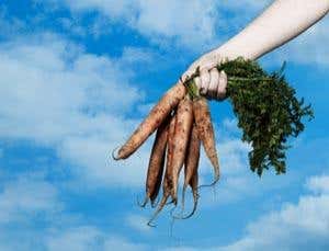 Better world: Eat more plants