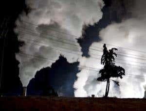 Better world: Offset your emissions