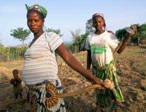 Contraceptives to help poor cope with climate change