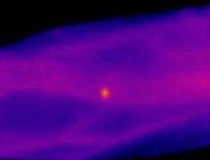 Focused infrared beams produce a painful heat spot on an arm