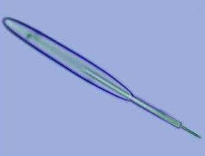 How life evolved: 10 steps to the first cells