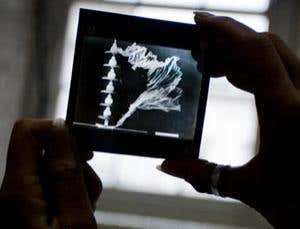 New Scientist. Science news and long reads from expert journalists, covering developments in science, technology, health and the environment on the website and the magazine.