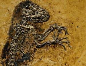 New Scientist. Science news and long reads from expert journalists, covering developments in science, technology, health and the environment on the website and the magazine.