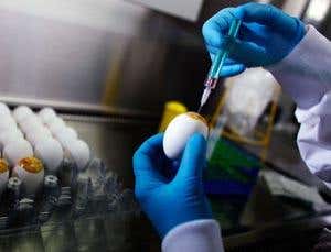 New Scientist. Science news and long reads from expert journalists, covering developments in science, technology, health and the environment on the website and the magazine.