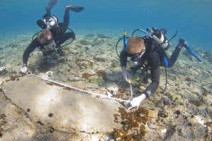 New Scientist. Science news and long reads from expert journalists, covering developments in science, technology, health and the environment on the website and the magazine.