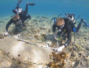 Underwater town breaks antiquity record
