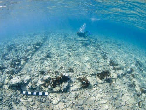 There is a wall across the foreground, slightly curved, and two huge wall foundations stretching away parallel towards the diver. Other walls branch off into the gloom to left and right. Although there are some square or flattened paving stones in the town, almost all the walls are made out of uncut stones like dry-stone sheep walls on Exmoor, UK. They were probably packed with clay to make them stronger, as we know that some of the houses were at least two stories high later in the Bronze Age, from the paintings on the Greek island of Santorini. The diver is Kirsten Flemming, who was the architect-diver for the project. She is the daughter of Nic Flemming, who discovered Pavlopetri in 1967