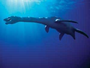 Real sea monsters: The hunt for predator X