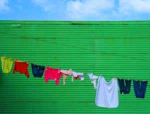 New Scientist. Science news and long reads from expert journalists, covering developments in science, technology, health and the environment on the website and the magazine.