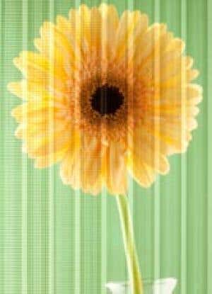 Better world: Top tech for a cleaner planet