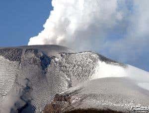 New Scientist. Science news and long reads from expert journalists, covering developments in science, technology, health and the environment on the website and the magazine.