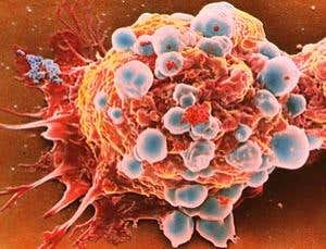 New Scientist. Science news and long reads from expert journalists, covering developments in science, technology, health and the environment on the website and the magazine.