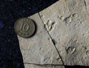 Baby dinosaur made tracks as it fled for its life