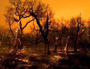 New Scientist. Science news and long reads from expert journalists, covering developments in science, technology, health and the environment on the website and the magazine.