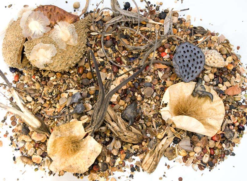 New Scientist. Science news and long reads from expert journalists, covering developments in science, technology, health and the environment on the website and the magazine.