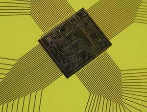 New Scientist. Science news and long reads from expert journalists, covering developments in science, technology, health and the environment on the website and the magazine.