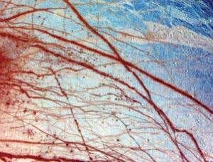 New Scientist. Science news and long reads from expert journalists, covering developments in science, technology, health and the environment on the website and the magazine.