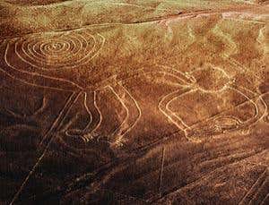 New Scientist. Science news and long reads from expert journalists, covering developments in science, technology, health and the environment on the website and the magazine.