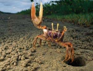 New Scientist. Science news and long reads from expert journalists, covering developments in science, technology, health and the environment on the website and the magazine.