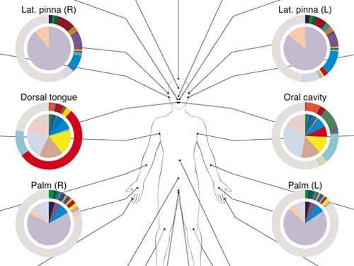 New Scientist. Science news and long reads from expert journalists, covering developments in science, technology, health and the environment on the website and the magazine.