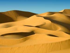 New Scientist. Science news and long reads from expert journalists, covering developments in science, technology, health and the environment on the website and the magazine.