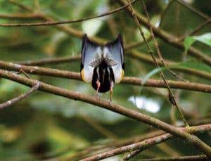 New Scientist. Science news and long reads from expert journalists, covering developments in science, technology, health and the environment on the website and the magazine.