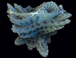 New Scientist. Science news and long reads from expert journalists, covering developments in science, technology, health and the environment on the website and the magazine.