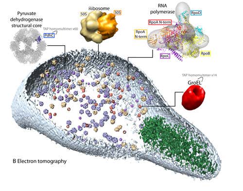 New Scientist. Science news and long reads from expert journalists, covering developments in science, technology, health and the environment on the website and the magazine.