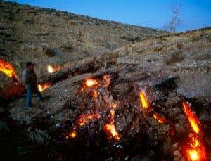 New Scientist. Science news and long reads from expert journalists, covering developments in science, technology, health and the environment on the website and the magazine.