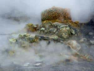 New Scientist. Science news and long reads from expert journalists, covering developments in science, technology, health and the environment on the website and the magazine.